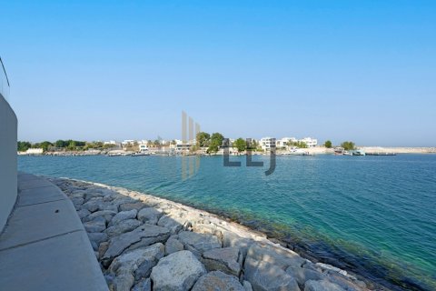 7 bedrooms Villa in Abu Dhabi, UAE No. 46893 22