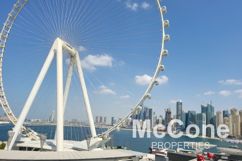 3 غرف نوم شقة في Bluewaters Residences, الإمارات العربية المتحدة رقم 74201 13