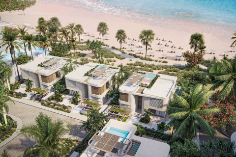 NB Collection  No. 70370