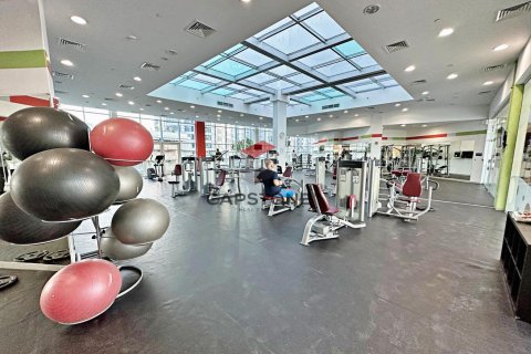 Studio Apartment in Al Reem Island, UAE No. 86309 15