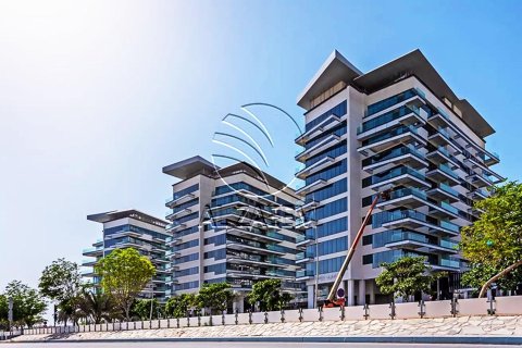 Studio Apartment on the Yas Island, UAE No. 89888 2