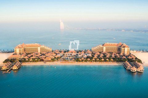 Appartement de 50m² à Palm Jumeirah, UAE No. 77444 24