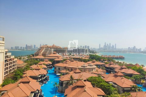 Appartement de 50m² à Palm Jumeirah, UAE No. 77444 11