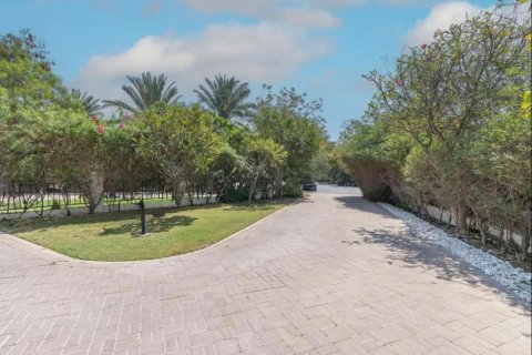 Villa de 4 chambres à Jumeirah Islands, UAE No. 87845 10