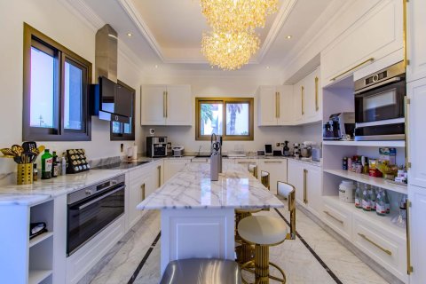 4 غرف نوم فيلا في Jumeirah Islands, الإمارات العربية المتحدة رقم 87848 8