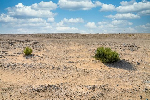 5197مربع، قطعة أرض في جزيرة الريم, الإمارات العربية المتحدة رقم 62400 12
