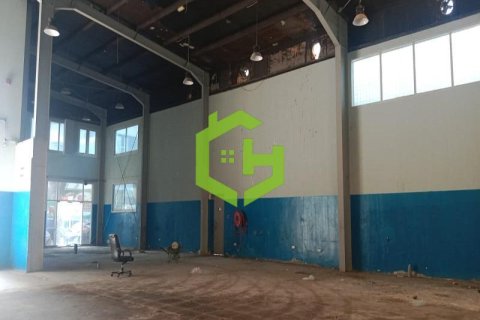 929مربع، مستودع في Al Qusais Industrial Area, الإمارات العربية المتحدة رقم 92148 1