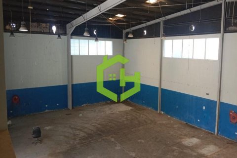 929مربع، مستودع في Al Qusais Industrial Area, الإمارات العربية المتحدة رقم 92148 14