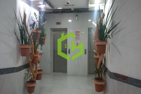 83.9مربع، مكتب في Al Barsha 1, الإمارات العربية المتحدة رقم 92150 3