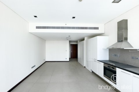 Apartment de 45m² en DIFC, UAE No. 102417 8