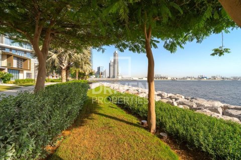 4 غرف نوم تاون هاوس في Bluewaters Residences, الإمارات العربية المتحدة رقم 83912 11