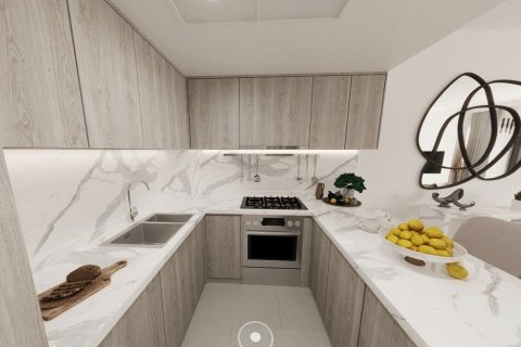 1 bedroom Apartment on the Saadiyat Cultural District, UAE No. 79720 5