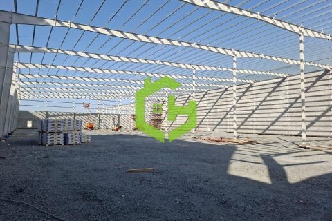 3168.2مربع، مستودع في Umm Al Thuoob, الإمارات العربية المتحدة رقم 92145 9