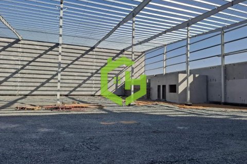 3168.2مربع، مستودع في Umm Al Thuoob, الإمارات العربية المتحدة رقم 92145 7