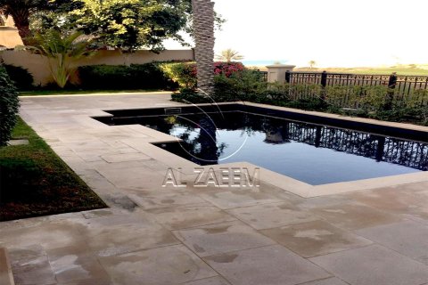 4 bedrooms Villa on the Saadiyat Island, UAE No. 91059 13