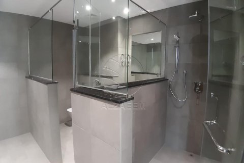 4 bedrooms Penthouse on the Saadiyat Island, UAE No. 91043 12