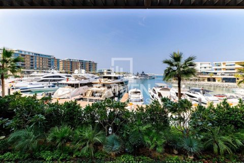 4 bedrooms Apartment in Jumeirah Bay Island, UAE No. 83954 6