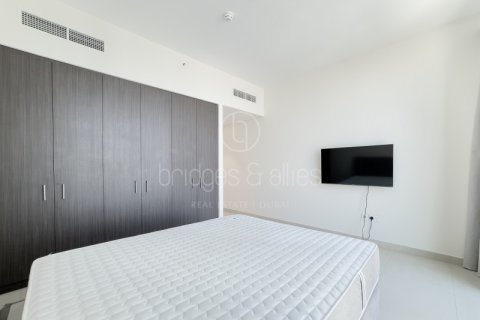 Apartment de 2 dormitorios en Downtown Dubai (Downtown Burj Dubai), UAE No. 102422 12