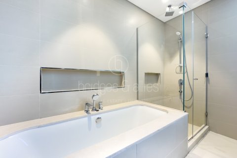 Apartment de 2 dormitorios en Downtown Dubai (Downtown Burj Dubai), UAE No. 102422 17