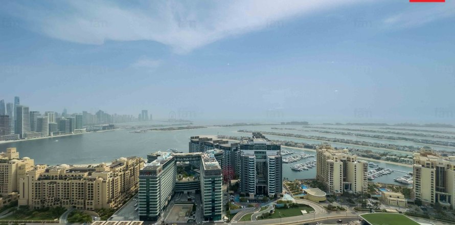 Apartamento tipo estudio Estudio en Palm Jumeirah, UAE No. 103362