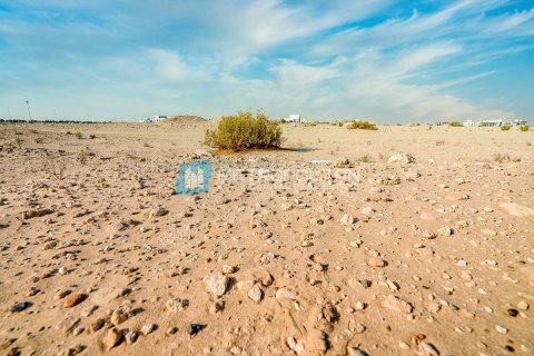 Land de 979.9m²  No. 105003 7