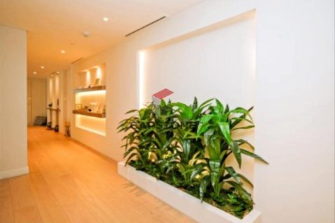 4 bedrooms Apartment on the Saadiyat Cultural District, UAE No. 86297 13