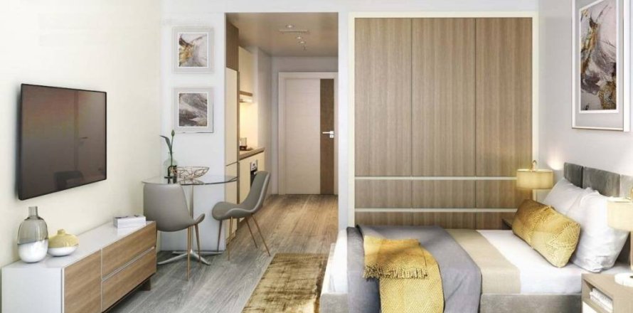 Studio Apartment in Dubai, UAE No. 13924