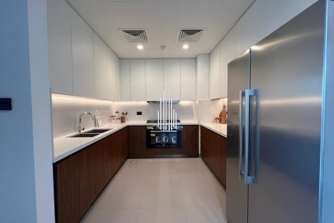 5 bedrooms Villa on the Saadiyat Island, UAE No. 73341 20