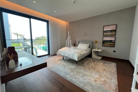 5 bedrooms Villa on the Saadiyat Island, UAE No. 73341 12