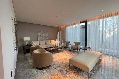 5 bedrooms Villa on the Saadiyat Island, UAE No. 73341 2