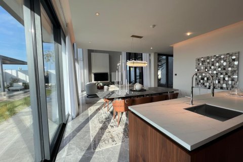 5 bedrooms Villa on the Saadiyat Island, UAE No. 73341 18