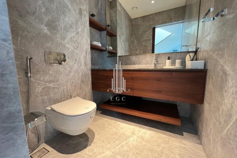 5 bedrooms Villa on the Saadiyat Island, UAE No. 73341 25