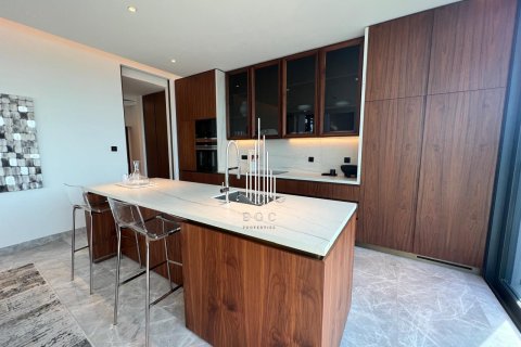 5 bedrooms Villa on the Saadiyat Island, UAE No. 73341 19