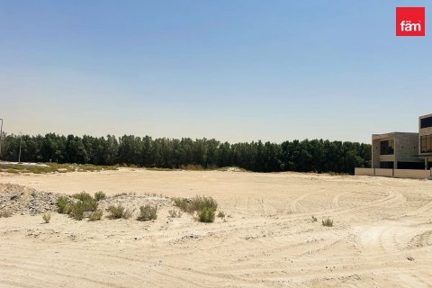 464.9مربع، قطعة أرض في دبي, الإمارات العربية المتحدة رقم 80577 7