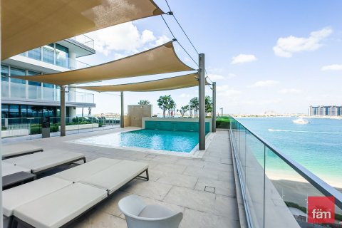Appartement de 1 chambre à Dubai Harbour, UAE No. 102662 27