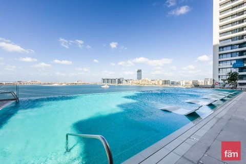 Appartement de 1 chambre à Dubai Harbour, UAE No. 102662 26
