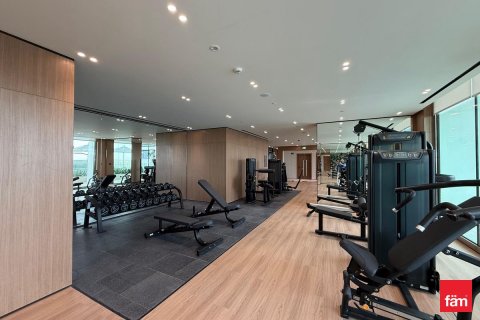 36.4m² Apartment in Dubai, UAE No. 105548 18