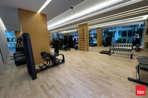 Appartement de 1 chambre à Dubai, UAE No. 100158 27