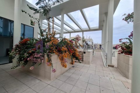 1 bedroom Apartment in Doha, Qatar No. 58119 16