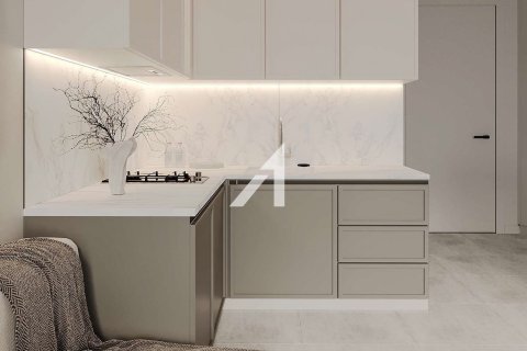 1 bedroom Apartment  No. 106008 19