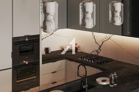 1 bedroom Apartment  No. 106008 16