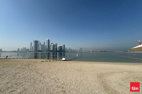 Appartement de 33.4m² à Palm Jumeirah, UAE No. 22719 12