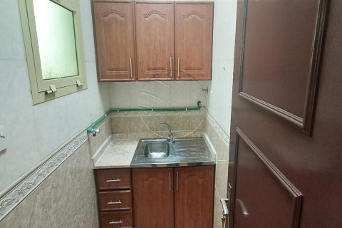 Villa de 7 chambres à Abu Dhabi, UAE No. 90068 7