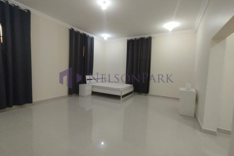 6 bedrooms Villa in Al Shamal, Qatar No. 57731 10