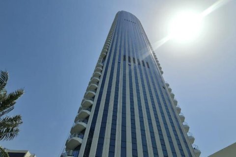 Квартира с 1 спальней в ADDRESS HARBOUR POINT, Дубай, ОАЭ №97395 5