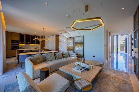 5 bedrooms Villa on the Saadiyat Island, UAE No. 91258 16