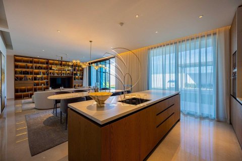 5 bedrooms Villa on the Saadiyat Island, UAE No. 91258 14