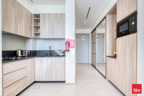 Appartement de 36.8m² à Dubai, UAE No. 100043 12