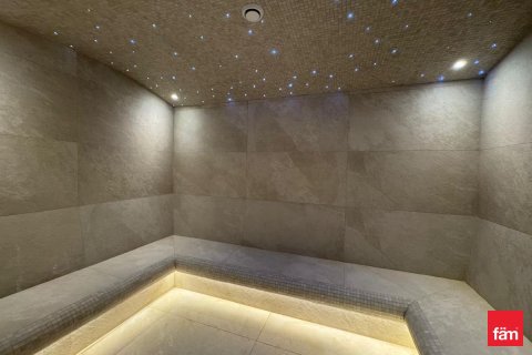 1 bedroom Apartment  No. 45159 27