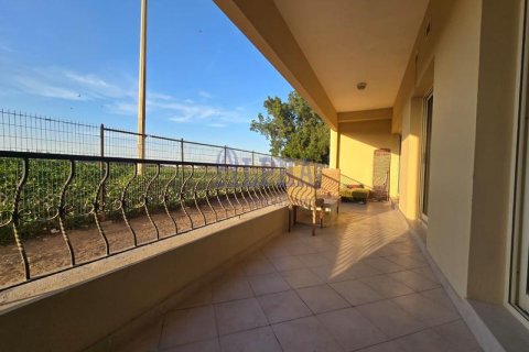1 bedroom Apartment in Al Hamra Village, UAE No. 92209 14